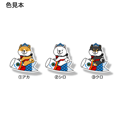 端午の節句のシバさん。39-18