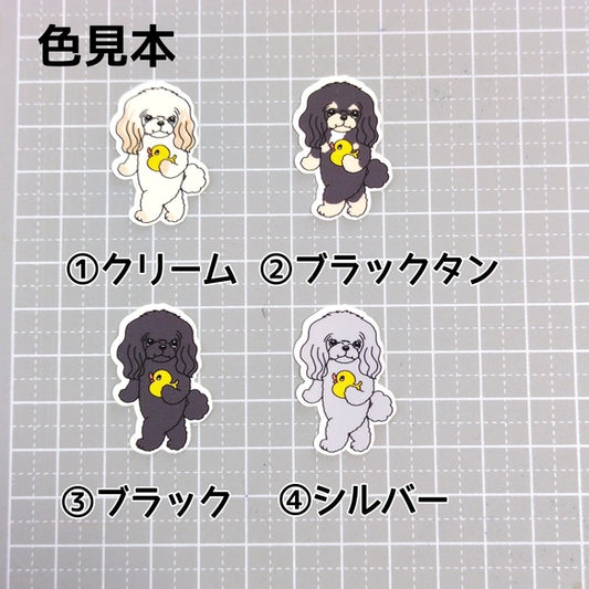 お気に入りのアヒルさんとチワプーちゃん。61-1