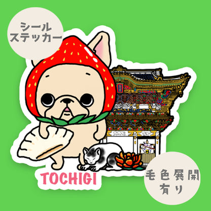 栃木を旅するフレブルちゃん。96−56