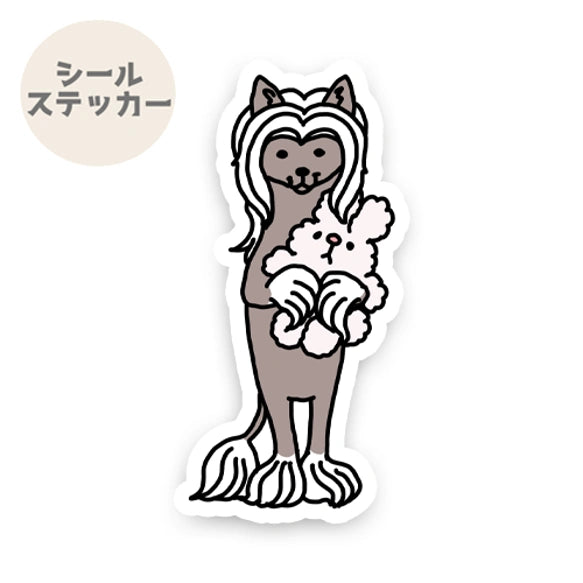 おりこうさんでお留守番してるチャイクレちゃん。57-1