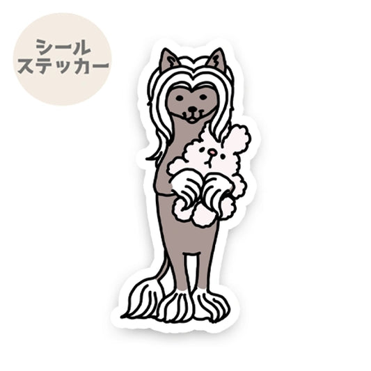 おりこうさんでお留守番してるチャイクレちゃん。57-1