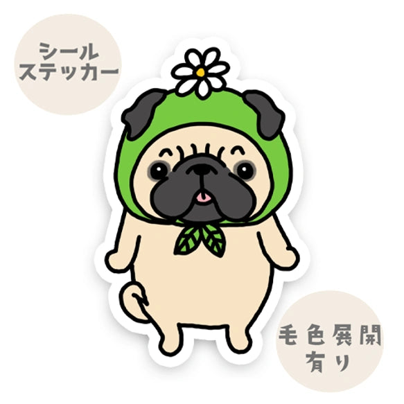 お花帽子のパグちゃん。76-