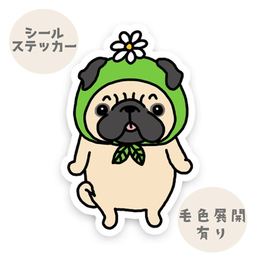 お花帽子のパグちゃん。76-