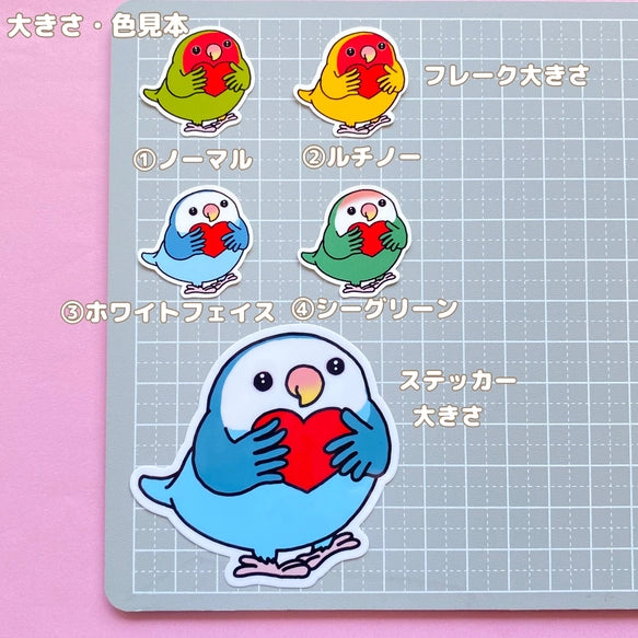 キモチを届けたいコザクラインコちゃん。