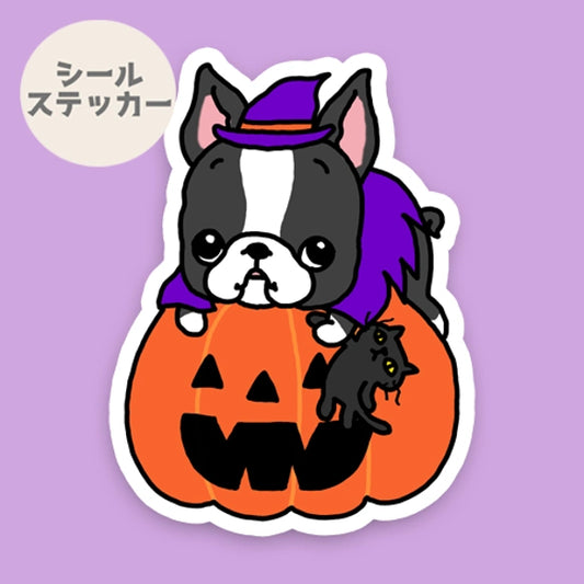 オバケカボチャとボストンテリアちゃん。101-