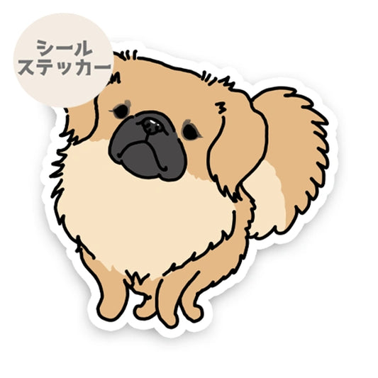 チベタンスパニエルちゃん。55-1