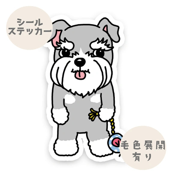何して遊ぶ？って言ってるシュナウザーちゃん。44-15