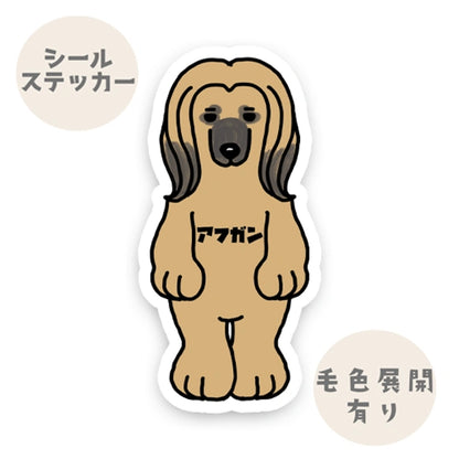 アフガン。4-1