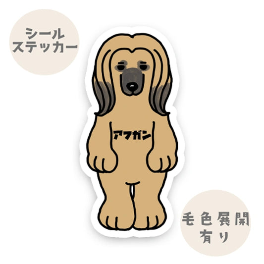 アフガン。4-1