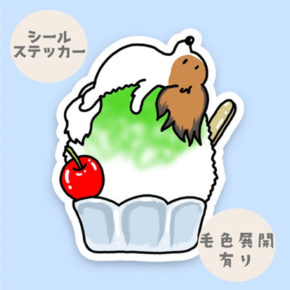 かき氷で冷えてるパピヨンちゃん。80-