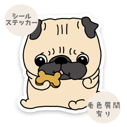 おやつタイムのパグちゃん。76-