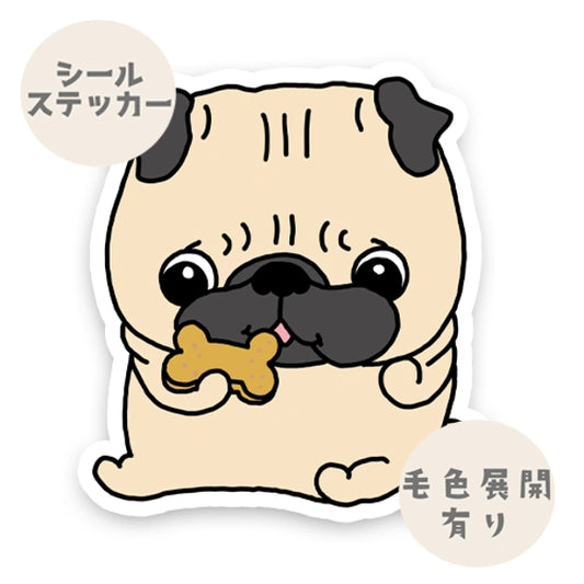 おやつタイムのパグちゃん。76-