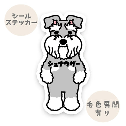 シュナウザー。44-1