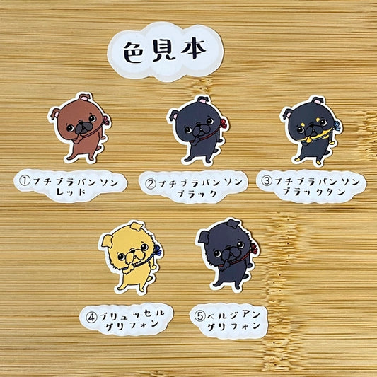 かわいいプチブラバンソンとかわいいグリフォン。86-/92,93-