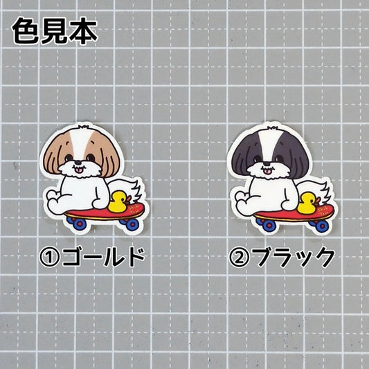 誰かと遊べるのを待ってるシーズーちゃん。35-6