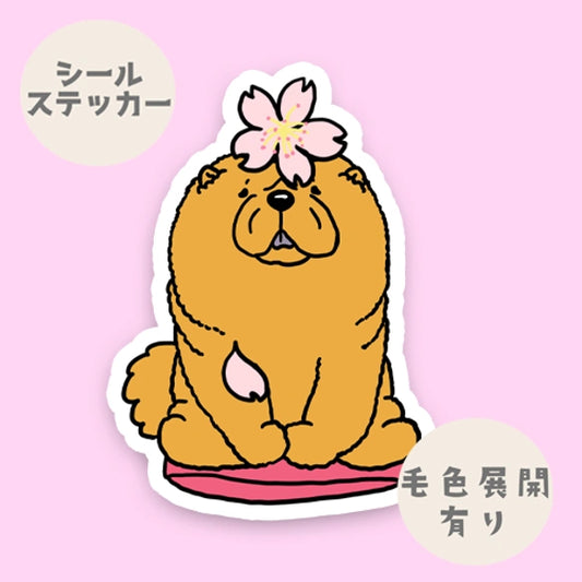 チャウチャウちゃんの春のご挨拶。59-6