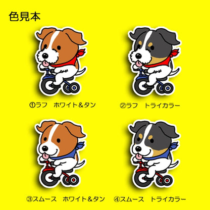三輪車で走り続けるジャックラッセルちゃん。42-11