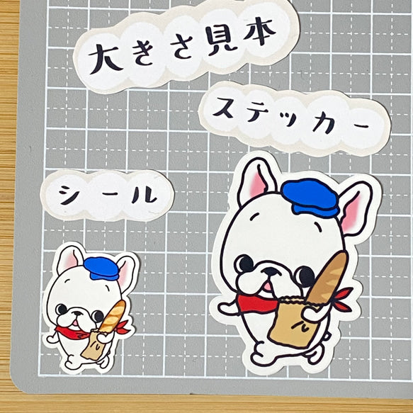 フランスをお散歩するフレブルちゃん。96−209