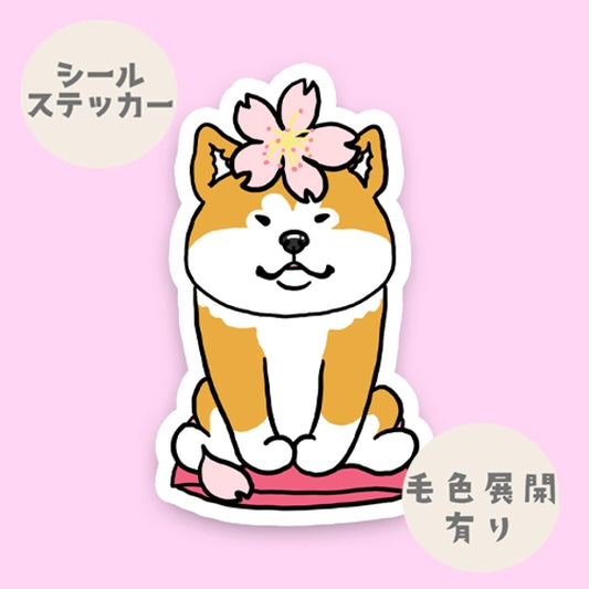 アキタイヌさんの春のご挨拶。3-15