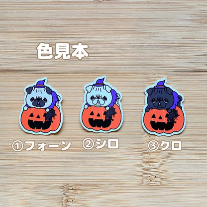 オバケカボチャとパグちゃん。76-
