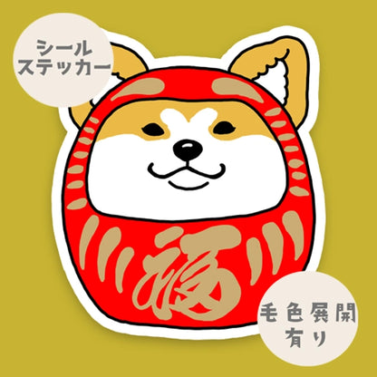 アキタイヌだるま。3-11