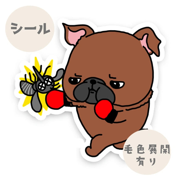 プチブラちゃんのフィラリア予防。86-