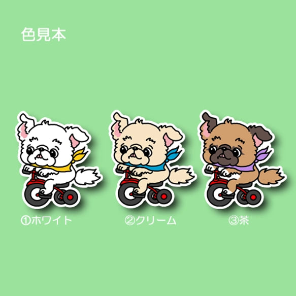 三輪車で走り続けるチワペキちゃん。62-3
