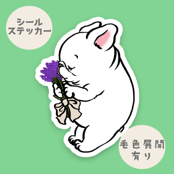 ラベンダーの季節のフレブルちゃん。96−283