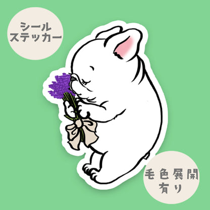 ラベンダーの季節のフレブルちゃん。96−283