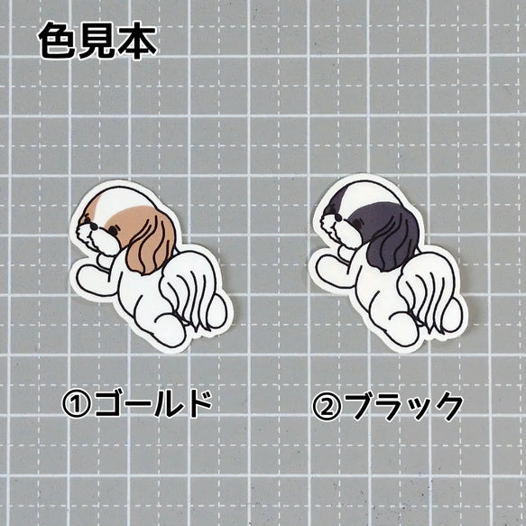 待ってるシーズーちゃん。35-5