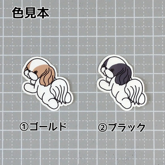 待ってるシーズーちゃん。35-5