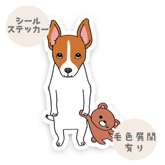 遊んでほしい立ち耳ジャックラッセルちゃん。43-12
