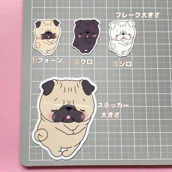 恥ずかしがり屋のパグちゃん。76-