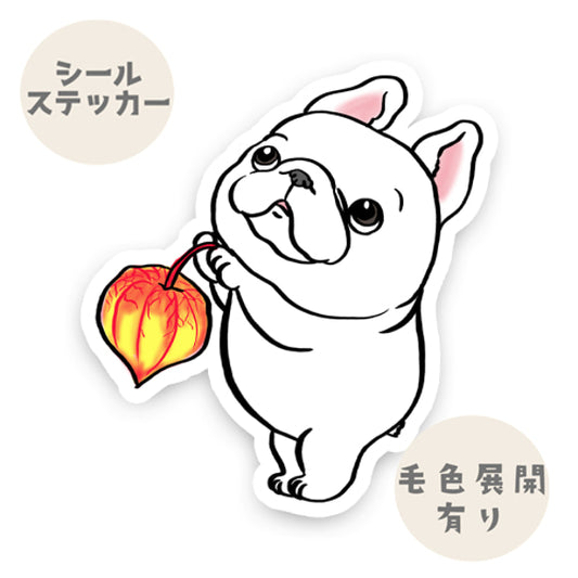 鬼灯であかりを灯すフレブルちゃん。96−284