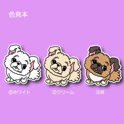 待ってるチワペキちゃん。62-4