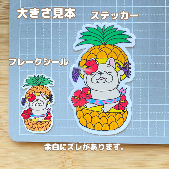 トロピカルフレブルちゃん。96−303