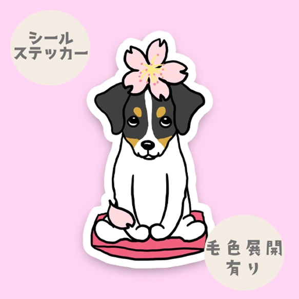 ジャックラッセルちゃんの春のご挨拶。42-14