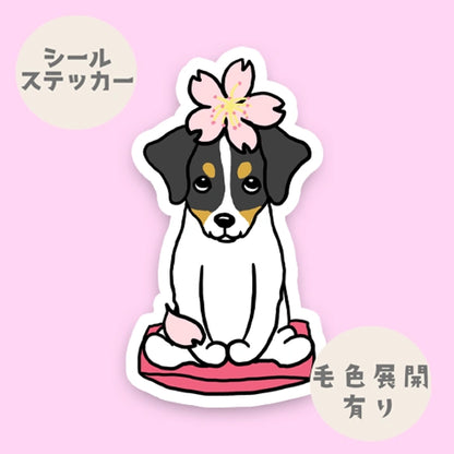 ジャックラッセルちゃんの春のご挨拶。42-14