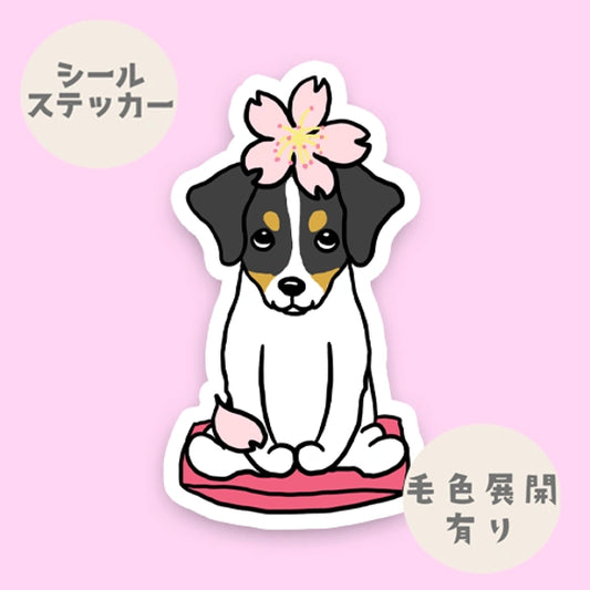 ジャックラッセルちゃんの春のご挨拶。42-14