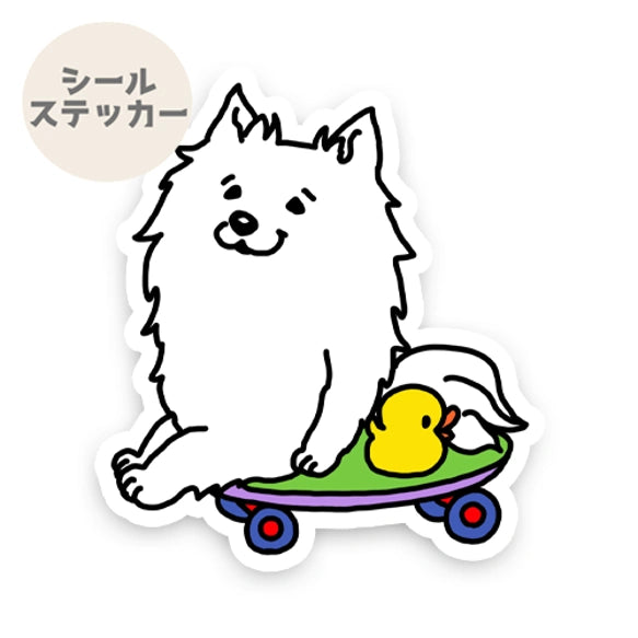 誰か来ないかなーって待ってる日本スピッツちゃん。70-
