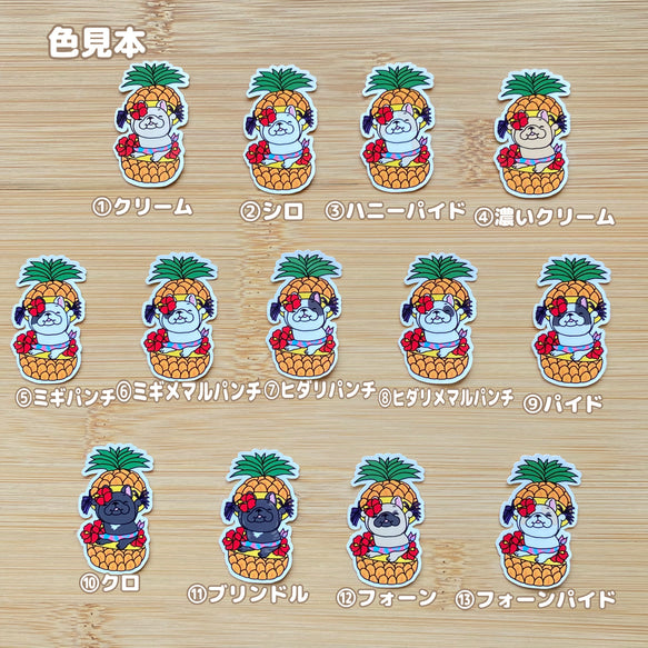 トロピカルフレブルちゃん。96−303