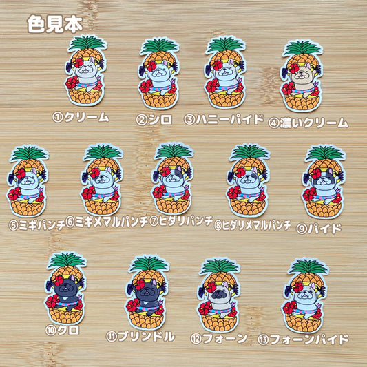 トロピカルフレブルちゃん。96−303