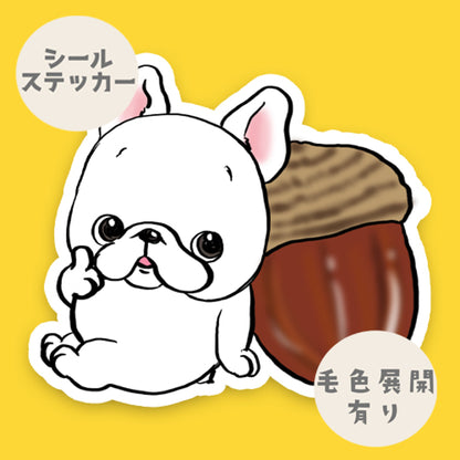 ドングリとフレブルちゃん。96−15