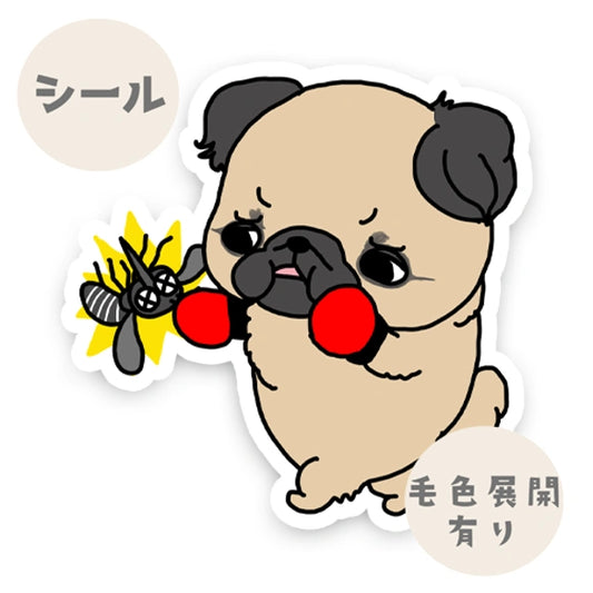 ペキニーズちゃんのフィラリア予防。97-