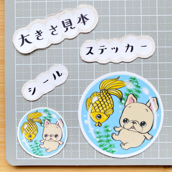 金魚鉢の中のフレブルちゃん。96−294