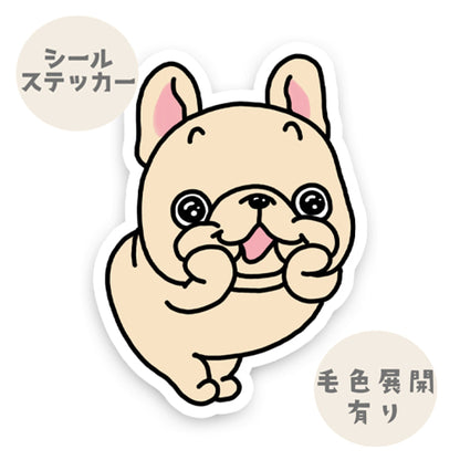 ワクワクのフレブルちゃん。96−527