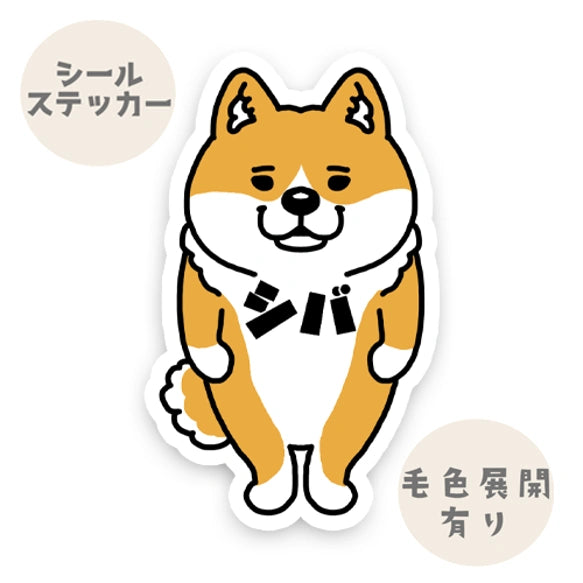 シバ。39-1