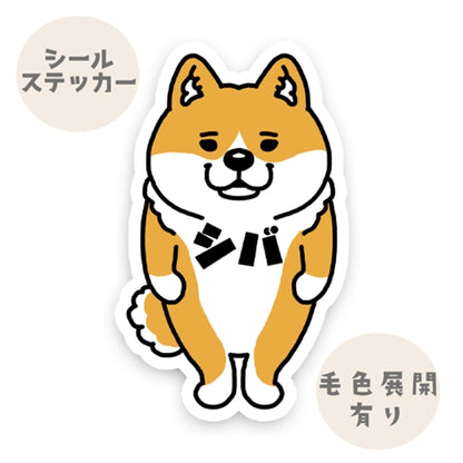 シバ。39-1