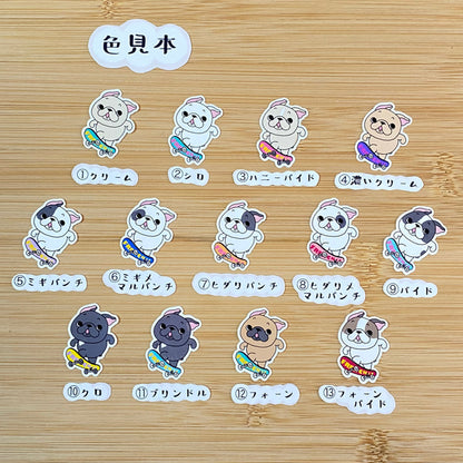 スケボーフレブルちゃん。96−139