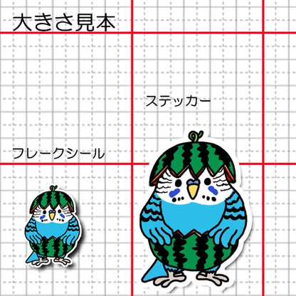 スイカセキセイインコちゃん。